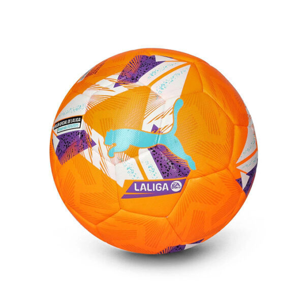 Ballon de Compétition – Image 5