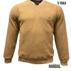 Pull-Over manche longue - Coton - Col V